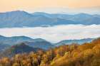 Spring morning and river of mist in Deep Creek Valley-Great Smoky Mountains NP-NC Art Print